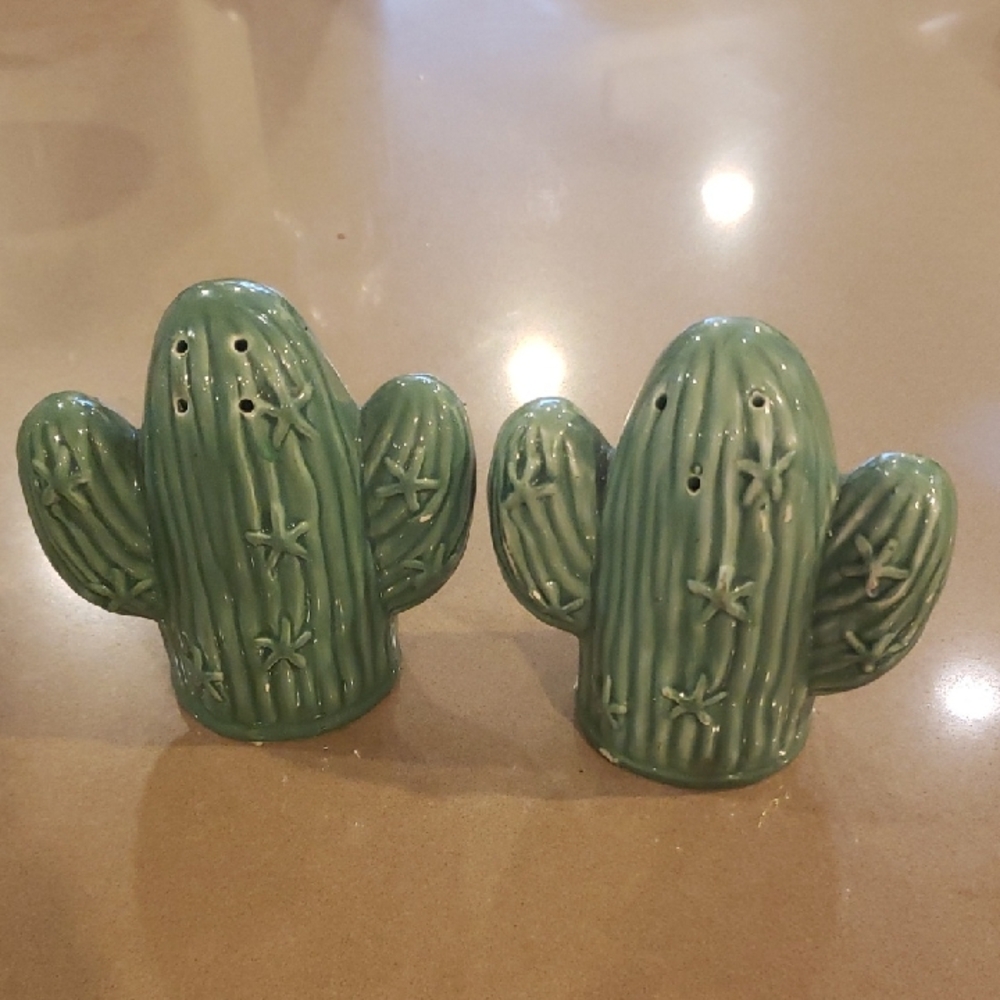 Cactus Salt and Pepper Shaker Set - Green